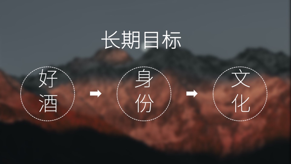 白酒品牌百味谭SOCIAL品牌传播方案