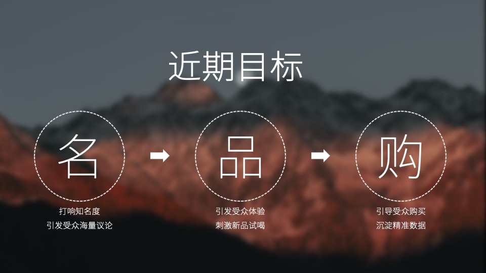 白酒品牌百味谭SOCIAL品牌传播方案