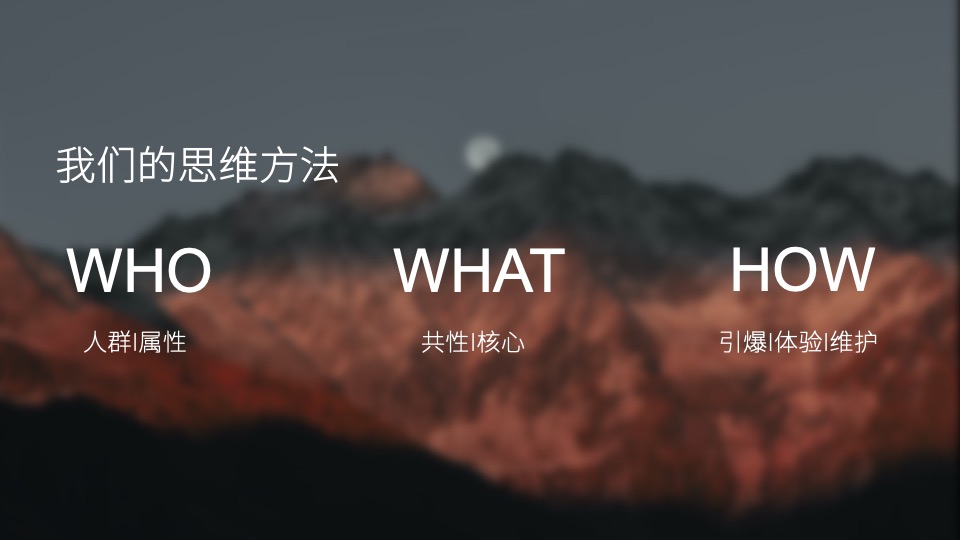 白酒品牌百味谭SOCIAL品牌传播方案