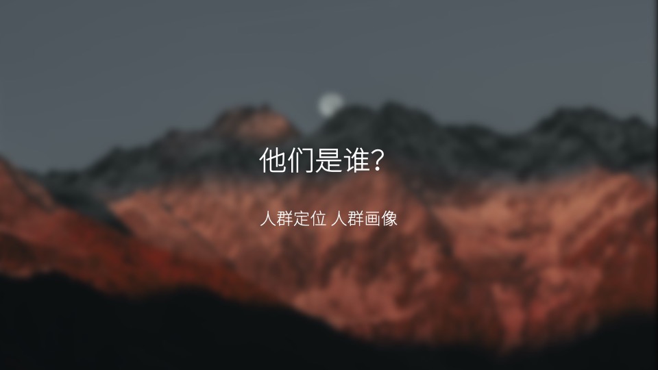 白酒品牌百味谭SOCIAL品牌传播方案