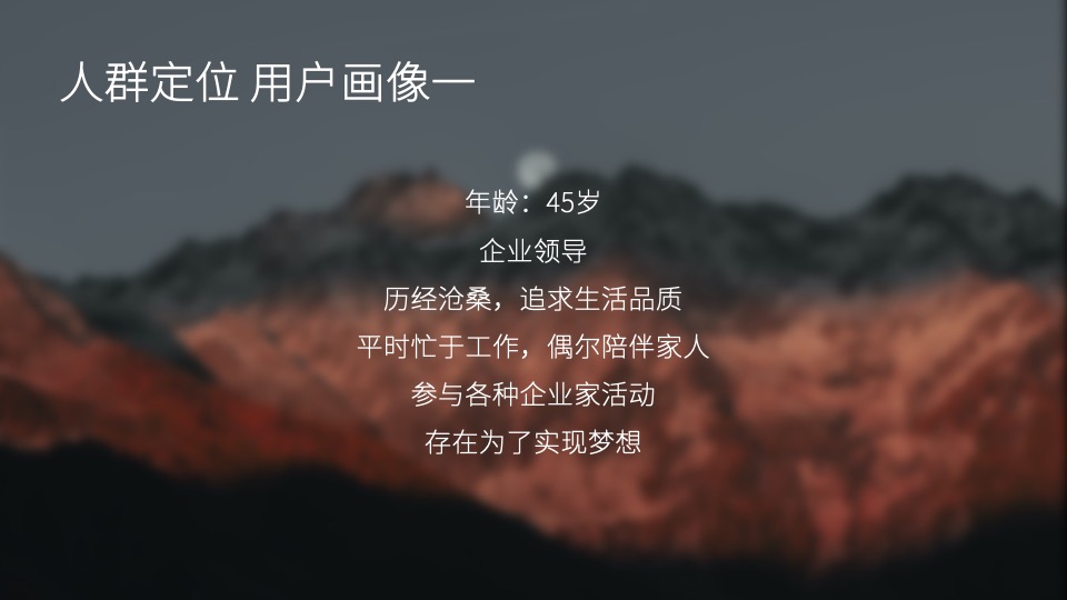 白酒品牌百味谭SOCIAL品牌传播方案