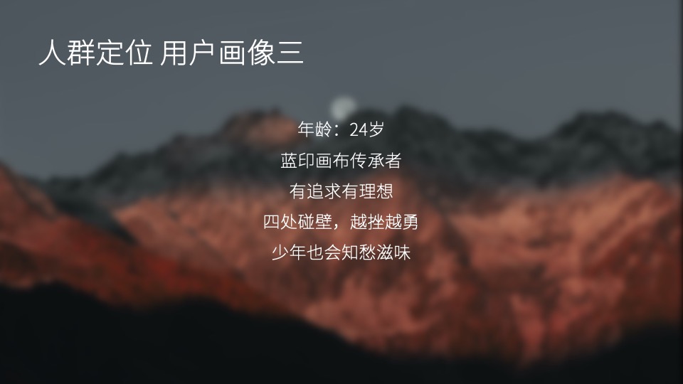 白酒品牌百味谭SOCIAL品牌传播方案