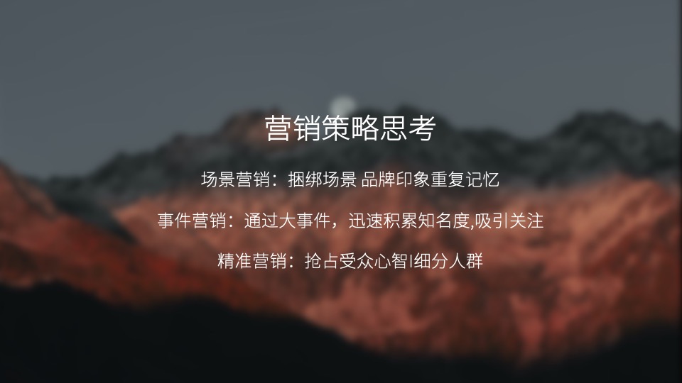 白酒品牌百味谭SOCIAL品牌传播方案