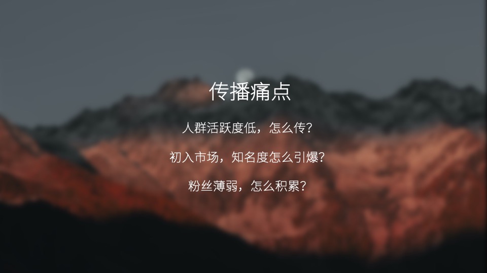 白酒品牌百味谭SOCIAL品牌传播方案