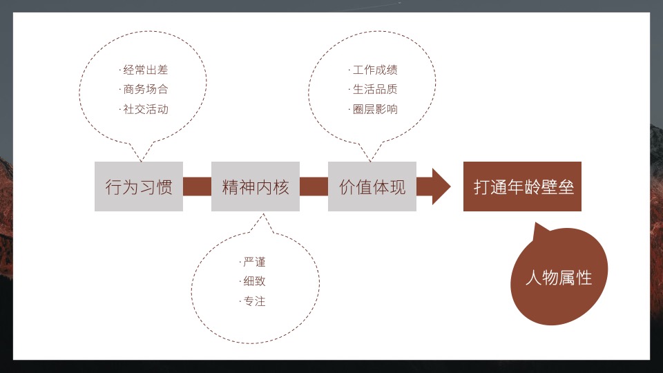 白酒品牌百味谭SOCIAL品牌传播方案
