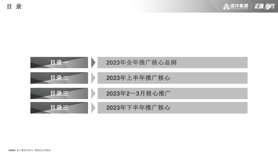 远洋天赋年度推广策划案