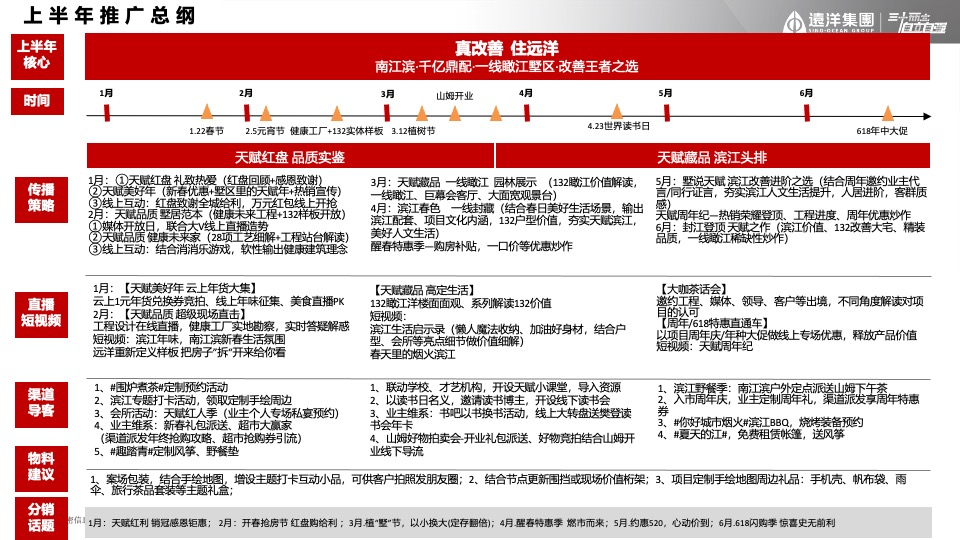 远洋天赋年度推广策划案