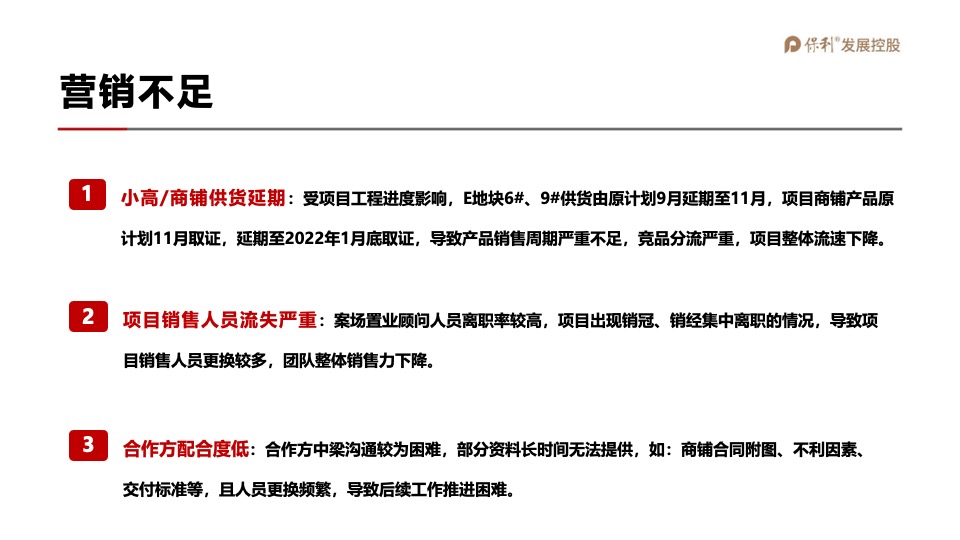 保利和府项目年度营销全案