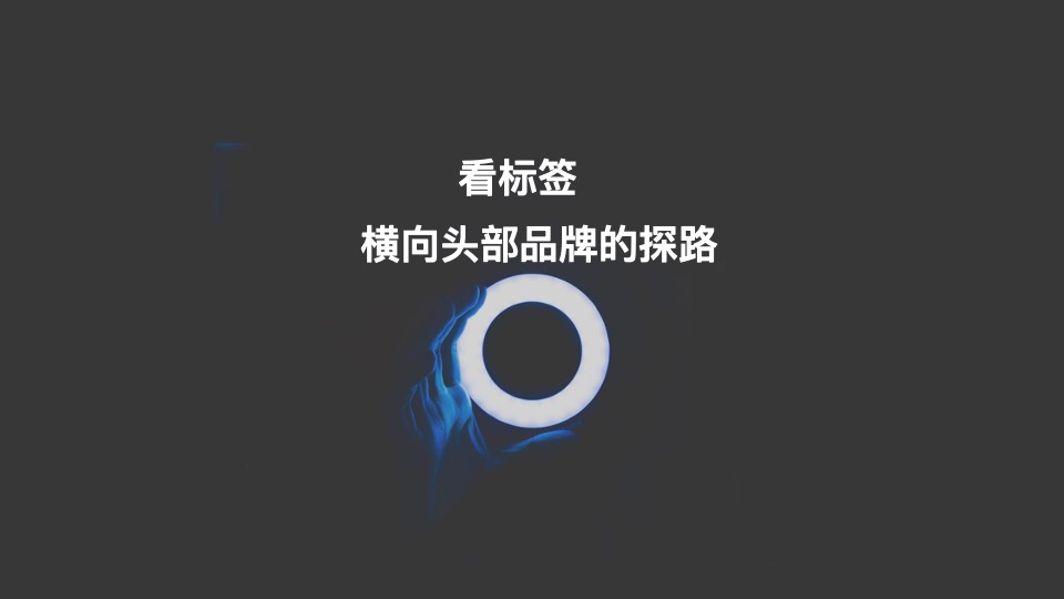 中国金茂品牌塑造逻辑及年度推广策划案