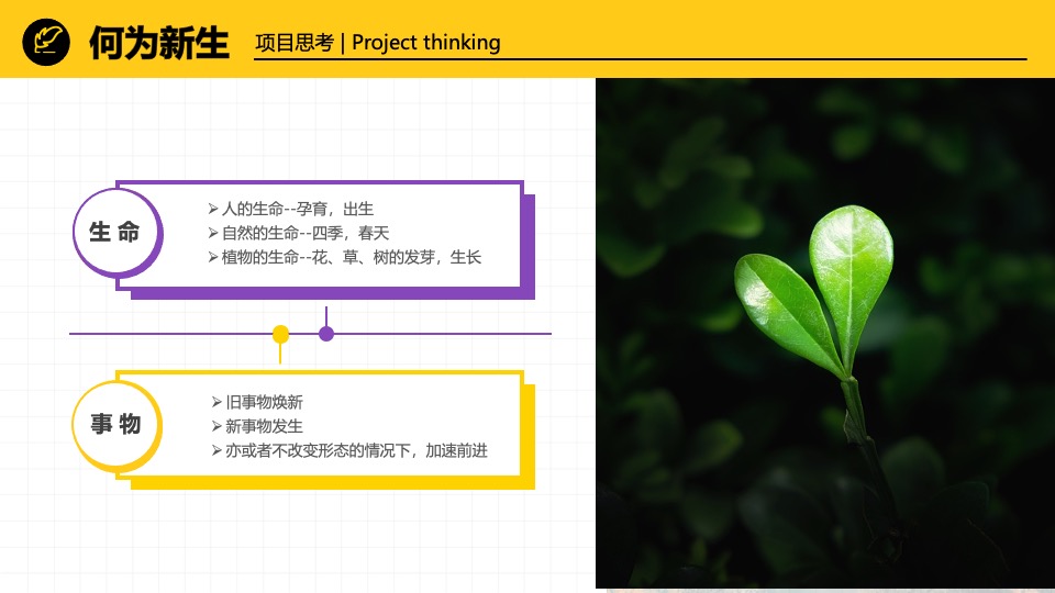 创意产业协会第二届会员代表大会暨创·新生年会活动策划方案