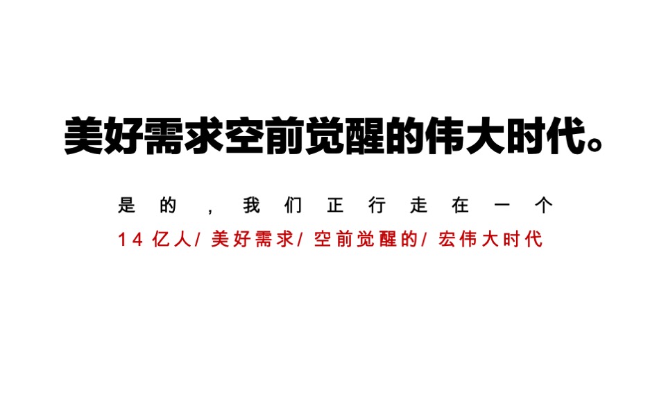 联发年度推广策略提报#集团品牌# #新美力#