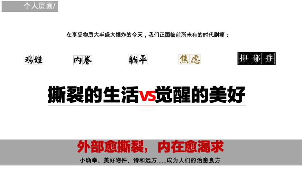 联发年度推广策略提报#集团品牌# #新美力#