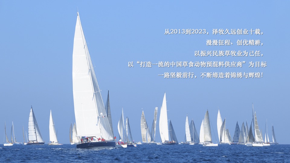 牧业企业十周年庆策划方案