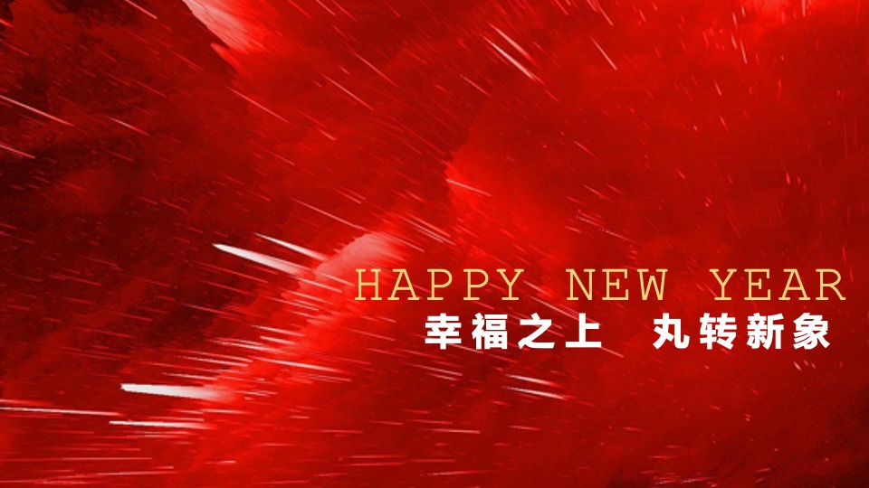 商业广场新春联动系列（经久弥新·丸转新象主题）活动策划方案