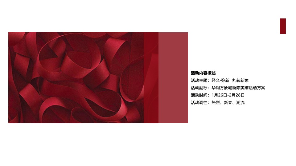 商业广场新春联动系列（经久弥新·丸转新象主题）活动策划方案