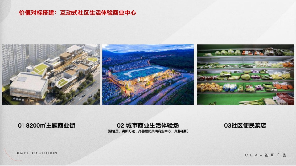 雪山万科城年度推广策划案