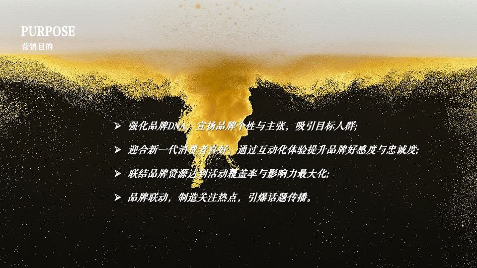 雪花啤酒线上推广品牌传播整合营销方案