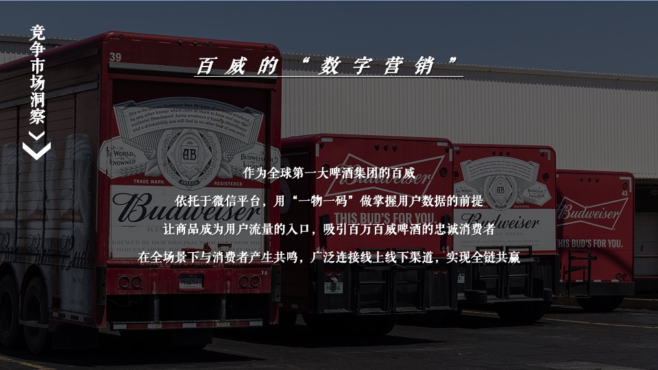 雪花啤酒线上推广品牌传播整合营销方案