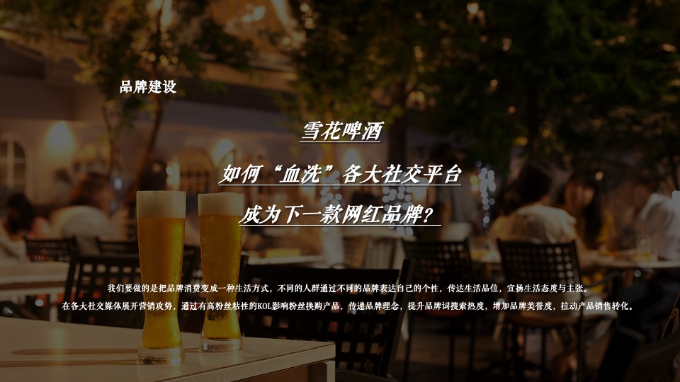 雪花啤酒线上推广品牌传播整合营销方案