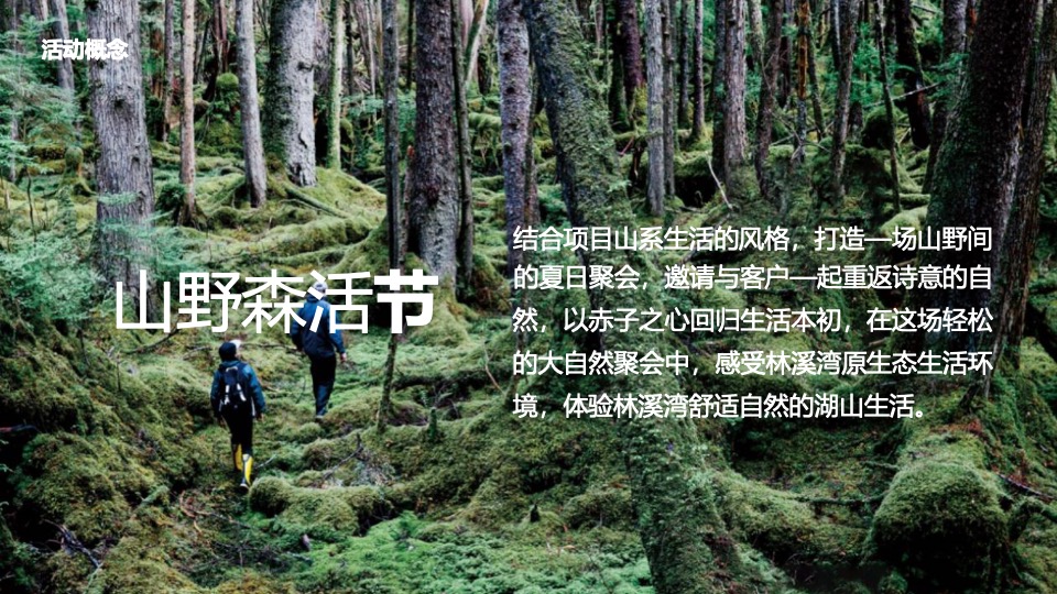 栾川天樾林溪湾示范区开放暨山野森活节活动策划方案