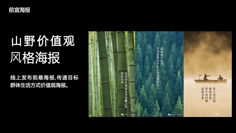 栾川天樾林溪湾示范区开放暨山野森活节活动策划方案