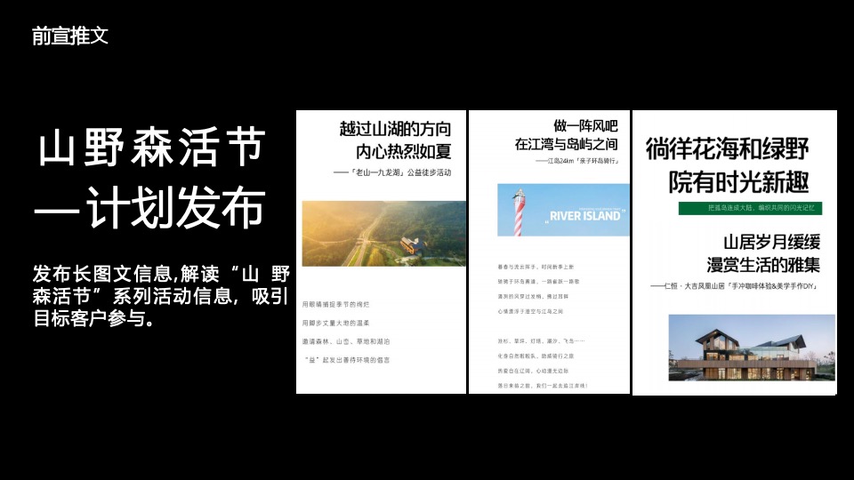 栾川天樾林溪湾示范区开放暨山野森活节活动策划方案