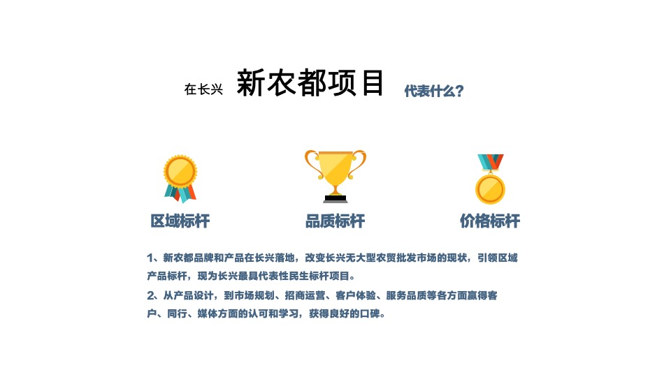 新农都长兴项目年终营销总结汇报