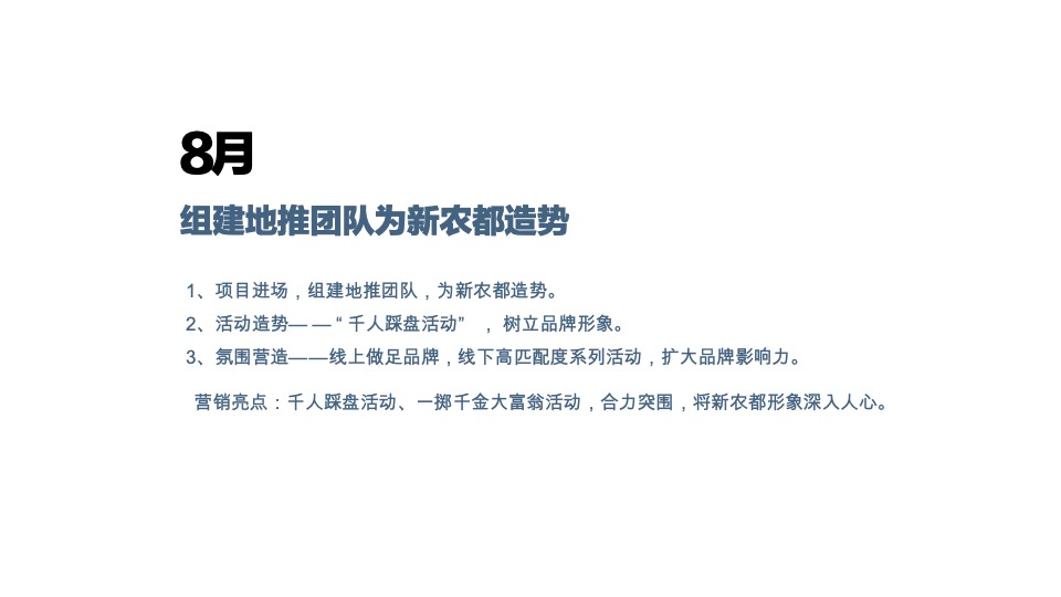 新农都长兴项目年终营销总结汇报