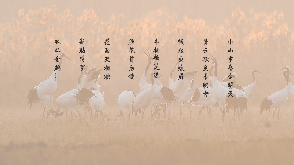 文旅景区汉服节（穿棠汉韵之美主题）活动策划方案