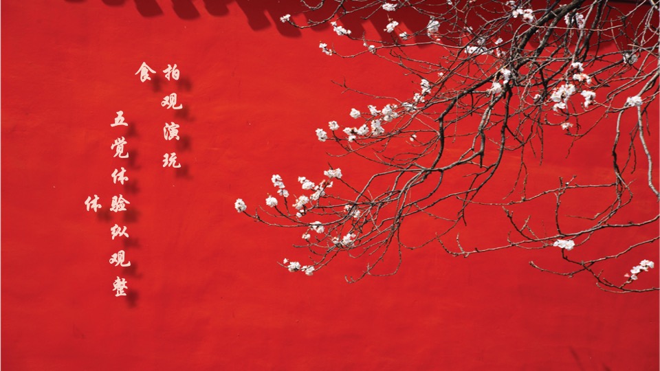 文旅景区汉服节（穿棠汉韵之美主题）活动策划方案