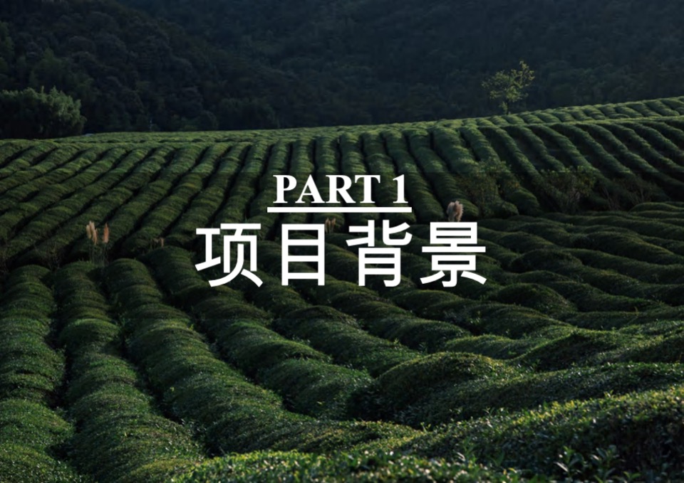 茶庄农文旅板块农村产业融合发展示范园战略规划方案