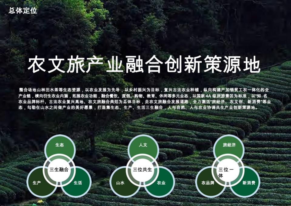 茶庄农文旅板块农村产业融合发展示范园战略规划方案