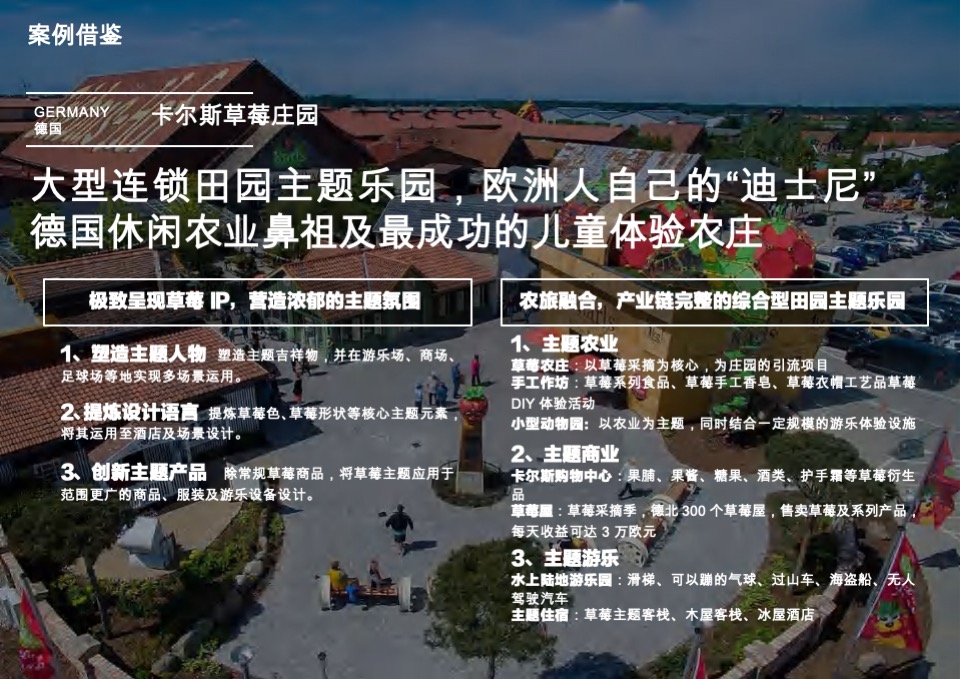 茶庄农文旅板块农村产业融合发展示范园战略规划方案