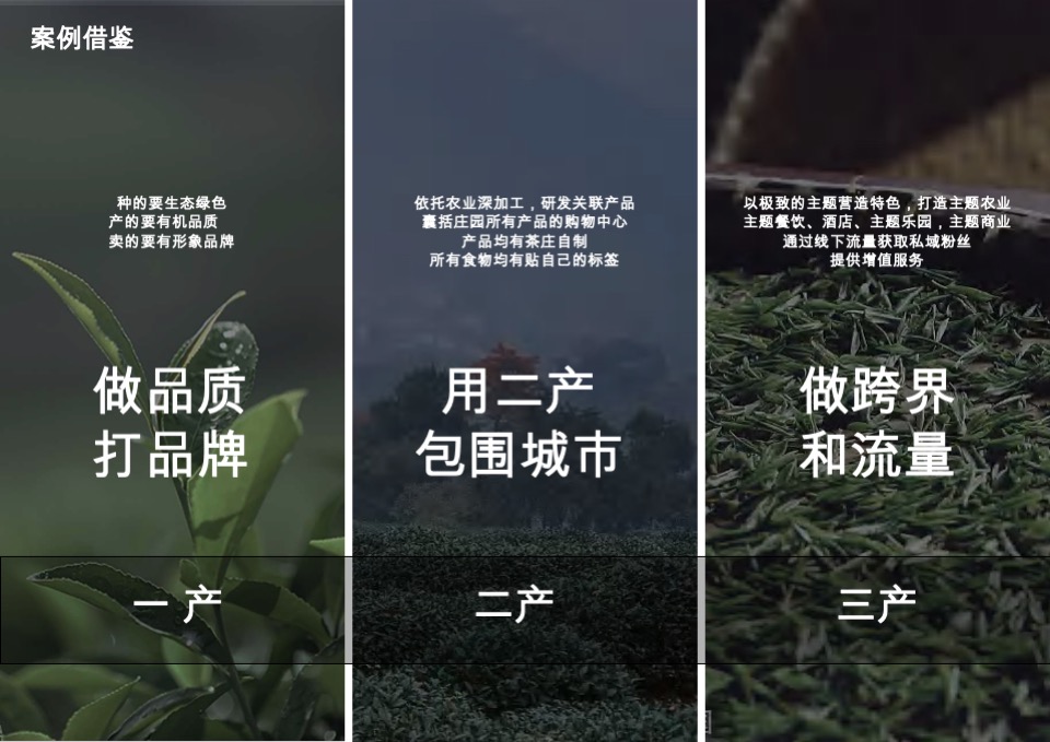 茶庄农文旅板块农村产业融合发展示范园战略规划方案