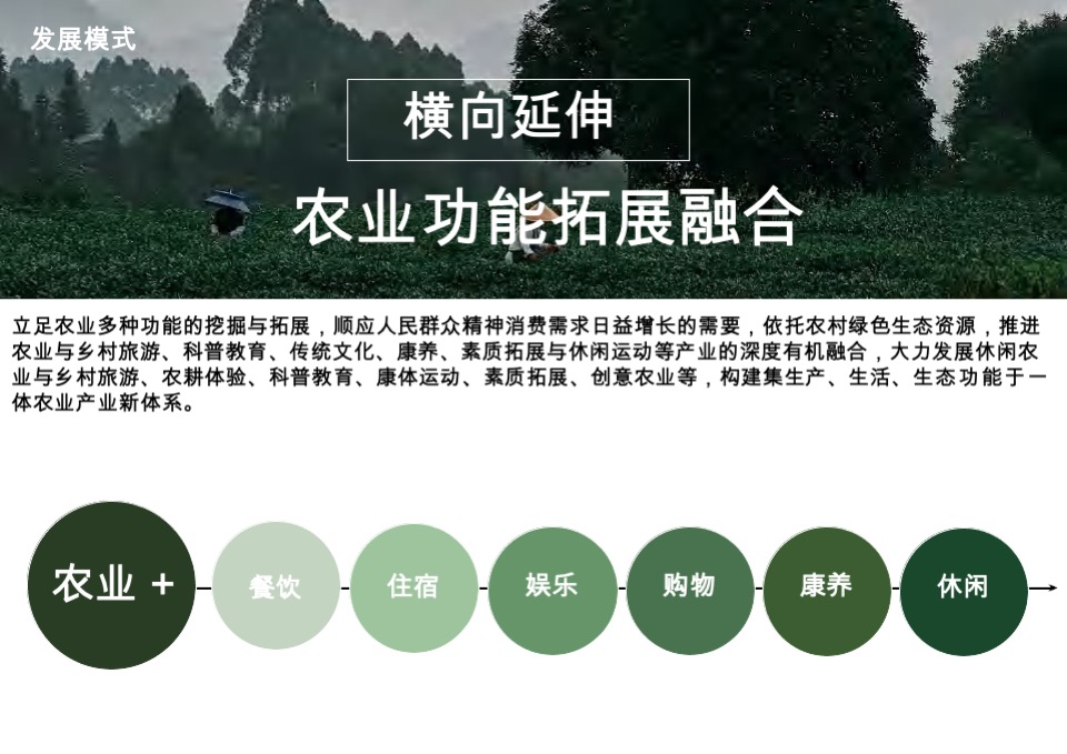 茶庄农文旅板块农村产业融合发展示范园战略规划方案