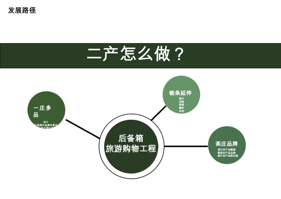 茶庄农文旅板块农村产业融合发展示范园战略规划方案