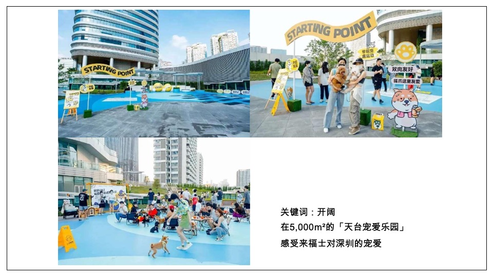 龙湖天街购物中心宠物场景打造方案