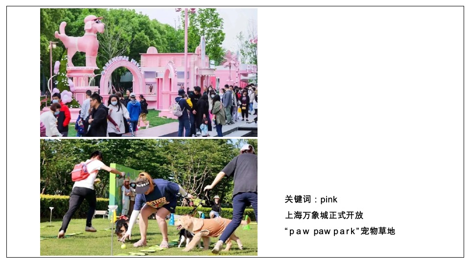 龙湖天街购物中心宠物场景打造方案