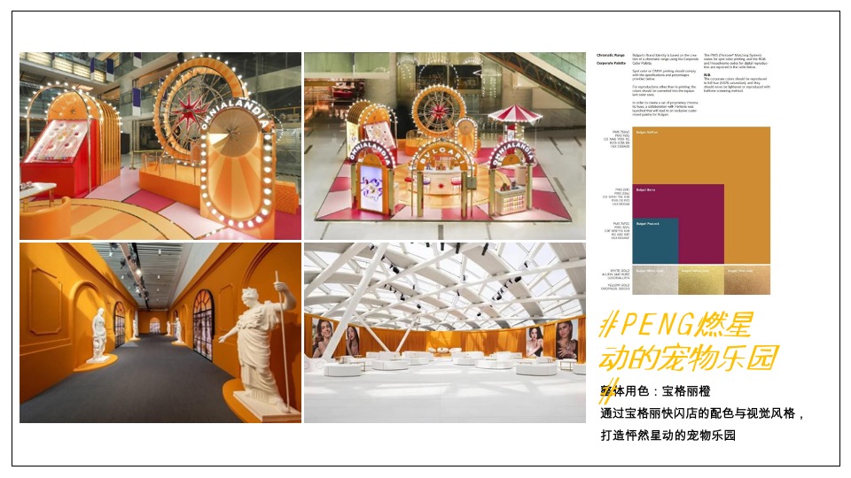 龙湖天街购物中心宠物场景打造方案