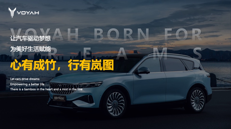 岚图汽车4s店开业（岚图向心 驭见不主题）活动策划方案