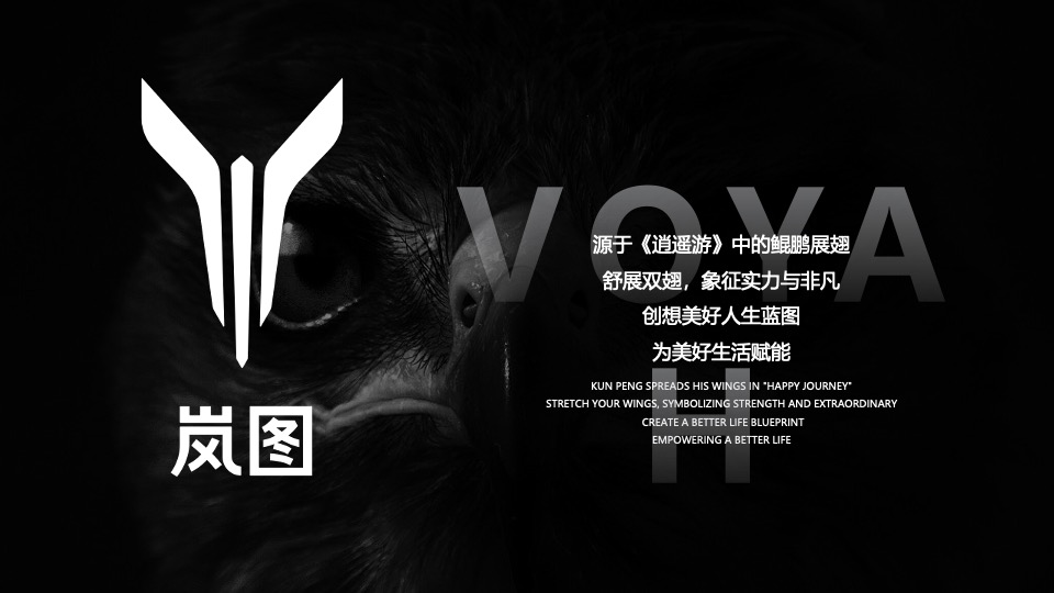 岚图汽车4s店开业（岚图向心 驭见不主题）活动策划方案