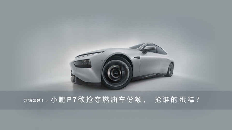 新能源汽车品牌年度南区活动执行方案