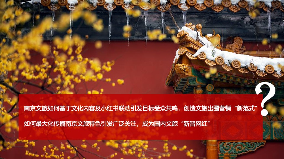 南京文旅深度游小红书营销方案