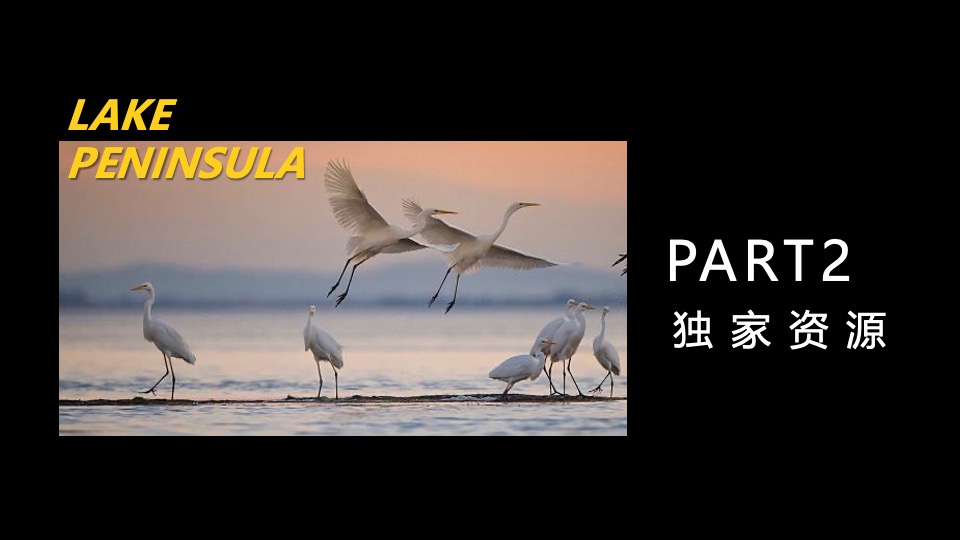 城建·雲栖湖岸年度活动策划案 #武汉#