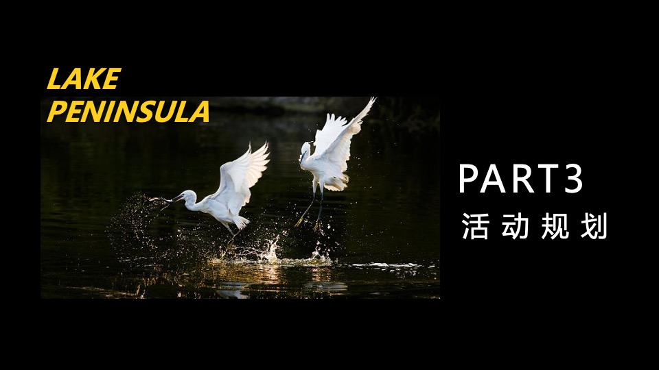 城建·雲栖湖岸年度活动策划案 #武汉#