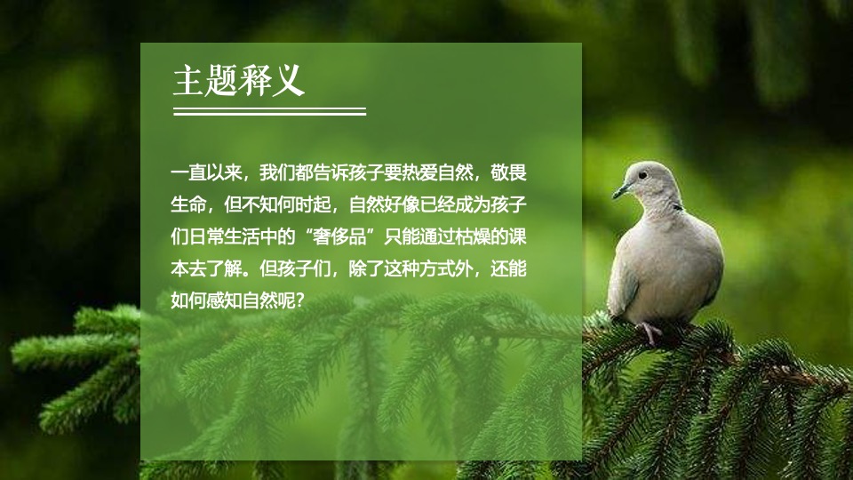 文旅景区文创自然研学（与大自然共生主题）活动策划方案