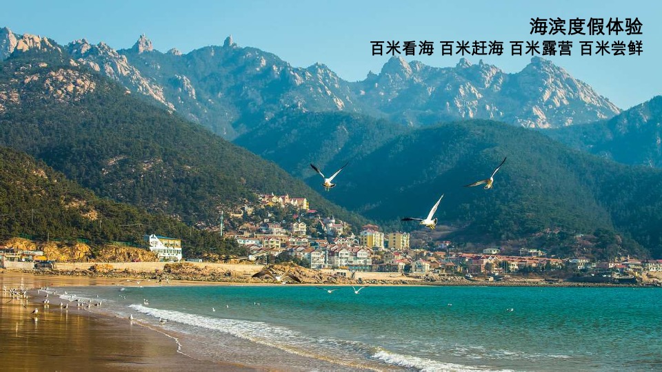 崂山湾壹号下阶段执行推广策划案