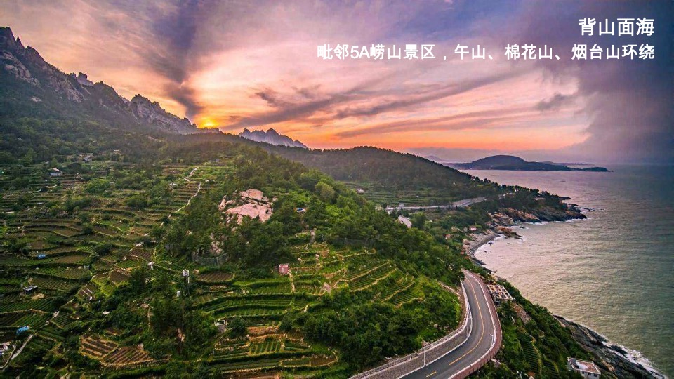 崂山湾壹号下阶段执行推广策划案