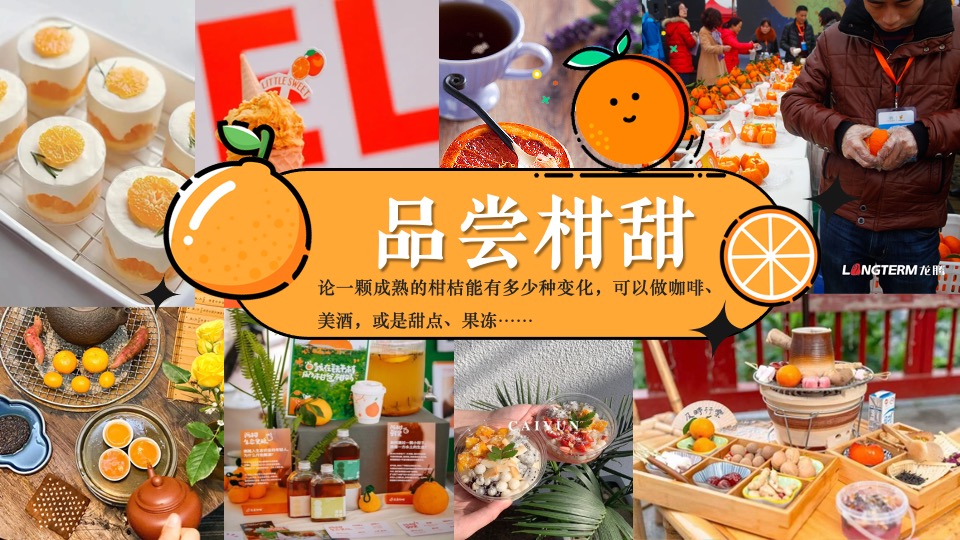 商场地产新春桔子市集嘉年华（新春大桔大利主题）活动策划方案