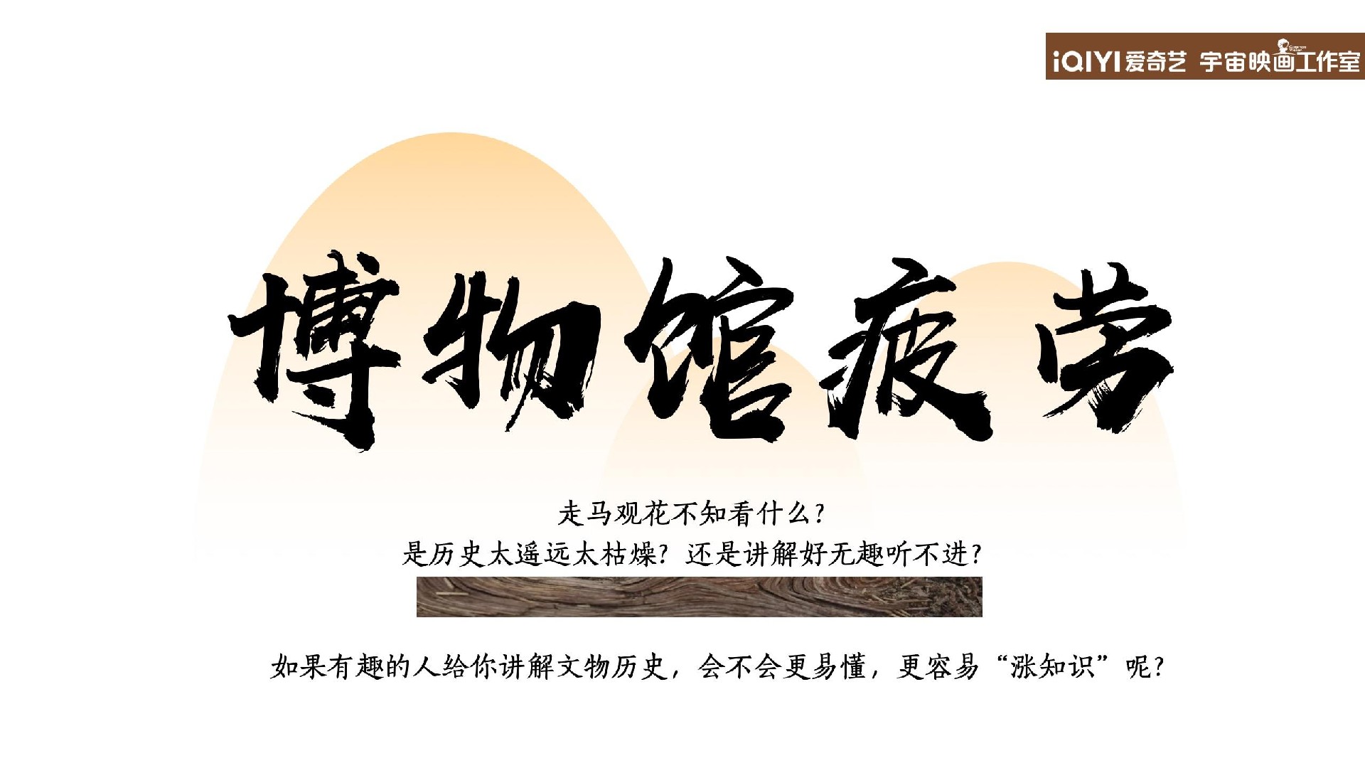 爱奇艺自制综艺《我来当解说》节目招商方案